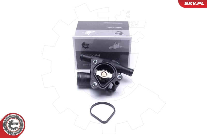 Thermostat, coolant
